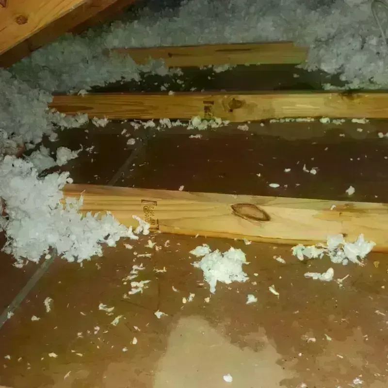 Attic Water Damage in Youngstown, OH