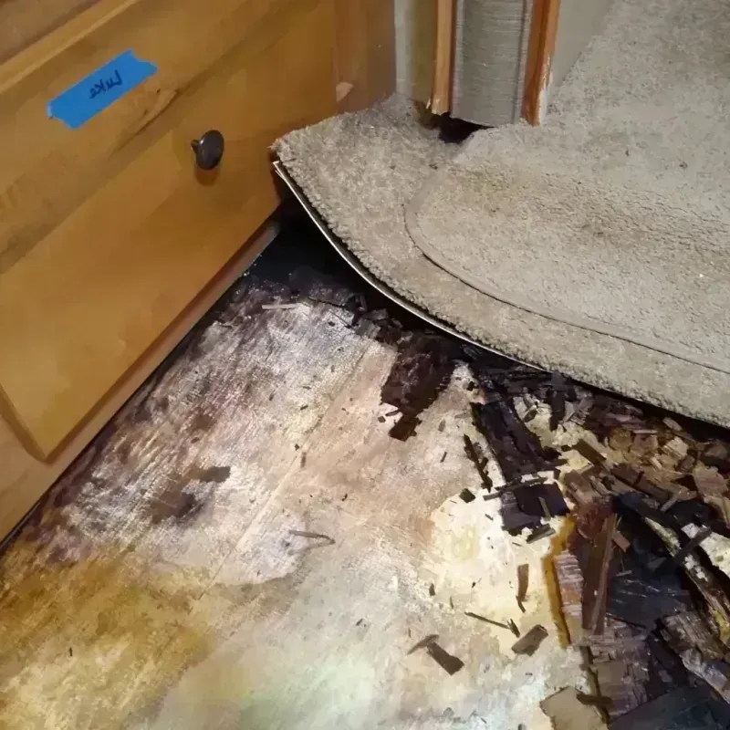 Best Wood Floor Water Damage Service in Youngstown, OH